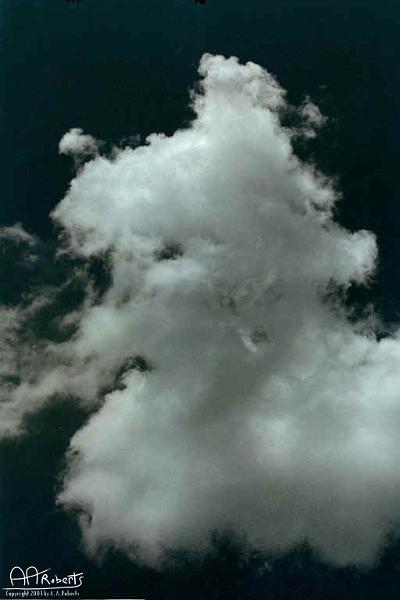 clouds1.jpg - Horse Cloud