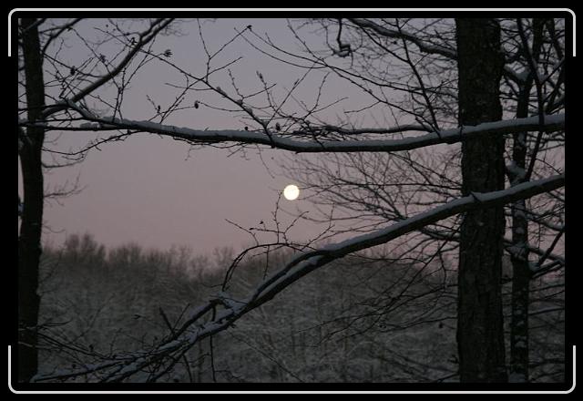 wintersun1.jpg - The winter's sun's last glare...