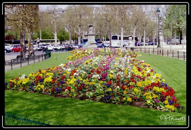 parisflowers.jpg - Parisian intersection.