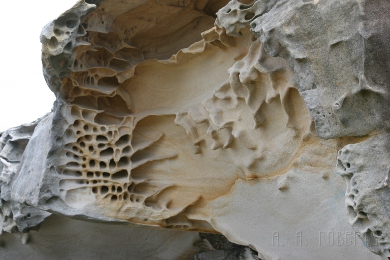 IMG_2628.jpg - The beachs all around Bondi are naturally carved sandstone.