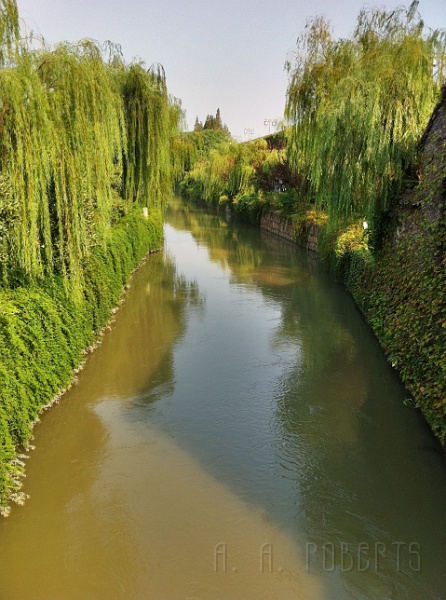 sh53.jpg - This was the a canal near the garden... I think...