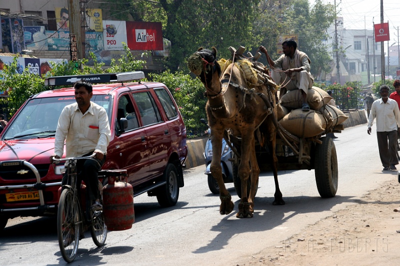 IMG_6018.JPG - In India you can find many forms of transportation.  Notice the propane powered bicyle.