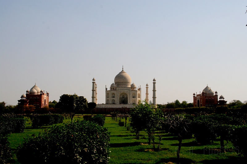 IMG_6038.JPG - Now we've gone to a place directly behind the Taj which I believe was called the moon garden.