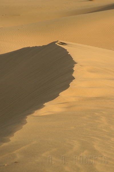 IMG_6444.JPG - This one looks like a sand dune.
