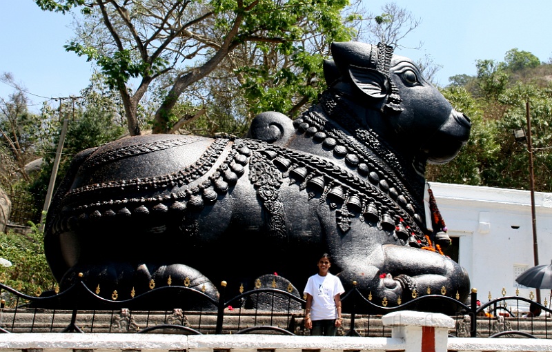 IMG_5627.JPG - This is a statue of Nandi.