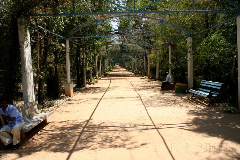 IMG_5666.JPG - This is a very impressive canopied walk that bisects the Mysore zoo.  The Mysore zoo is very nice and a thankful counterpoint to the Bannerghatta zoo.