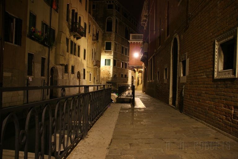 IMG_3712.jpg - Contrary to the day Venice is very quiet and peaceful at night.