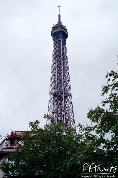 eiffel2.jpg - The Eiffel rises above the trees.