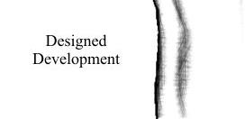 Designed Development