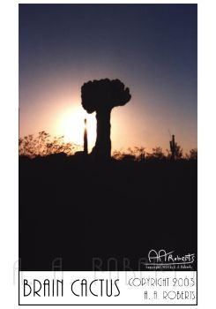 pf-cactus-poster.jpg