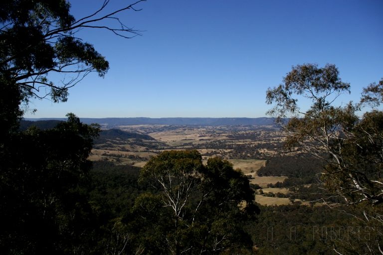 IMG_2441.jpg - We took a day trip to there to see them and the Jenolan caves.