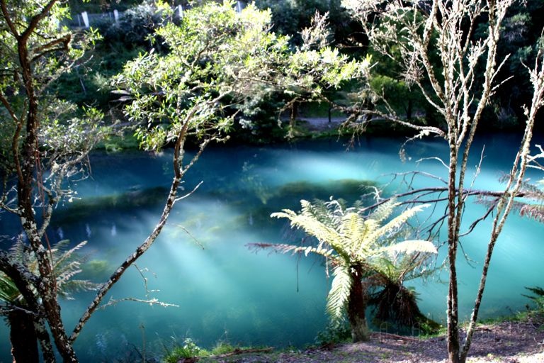 IMG_2477.jpg - This is the Pond outside the Jenolan caves where they get some of their water.  It's got that quarry color.