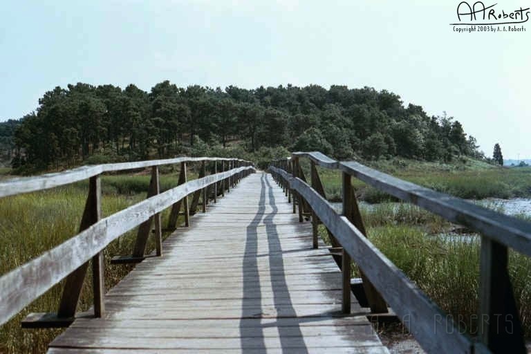 cape1.jpg - This is "Uncle Tim's" bridge.