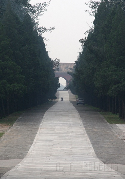 sr1.jpg - The sacred road preceeds a number of temples.  The emporor used to bring his retinue of around 3,000 people to visit the temples so they needed a big road.