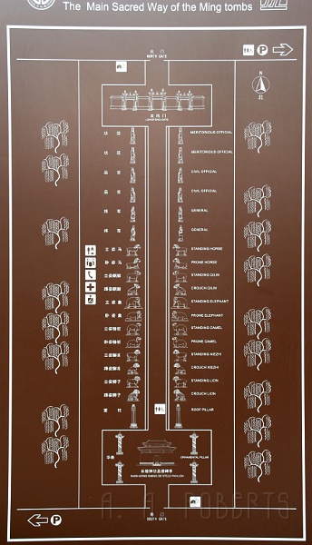 sr25.jpg - And here's the layout.