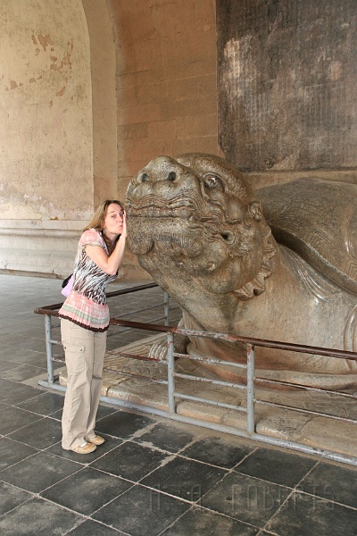 sr5.jpg - My wife loves the dragon turtle.