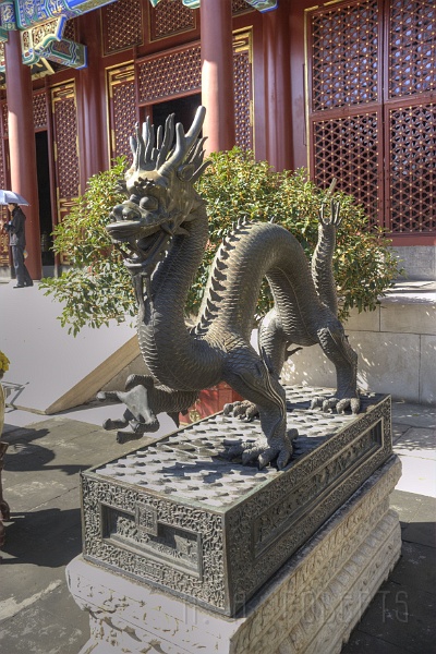 SP6.jpg - The dragon up close.