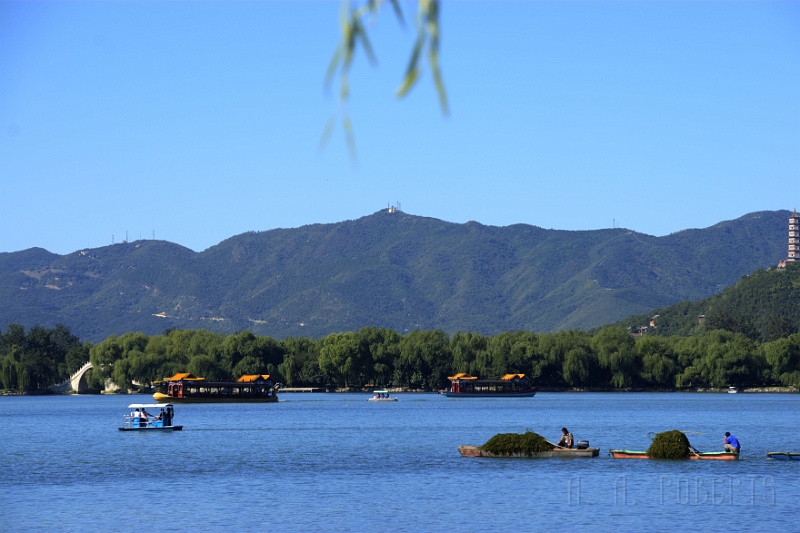 SP9.jpg - The lake before the palace.  We think the guys with the green stuff were clearing out weeds.