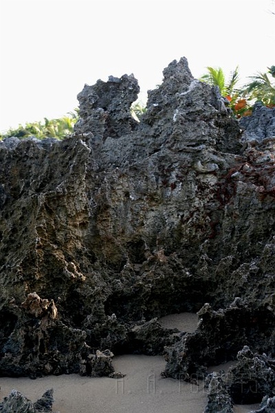 IMG_1438.jpg - This is an example of the coral walls that surround the north shore of the island.