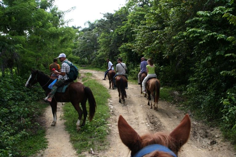 IMG_1492.jpg - We took a horseback ride into the interior  Chiquito, the guy in front was our guide.  Luntz and Thomas (left & right up front) were two German Gentlemen we made friends with.  The guy behind Chiquito is Jergan.  He got married the week before on the DR!  My wife is on the right and the guy closest to me on the left is one of the quides.