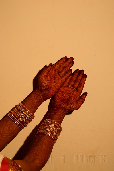 IMG_5246.JPG - These are the brides hands and arms.