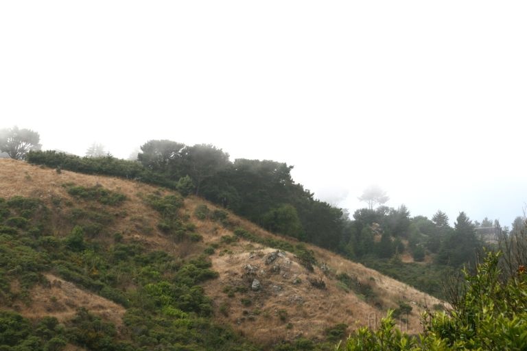 sfhills2.jpg - Like a cool wet blanket...