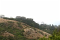 sfhills2